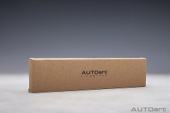 49120 DASHBOARD RULER