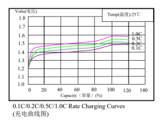 C NiMH Battery