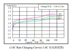 F NiMH Battery