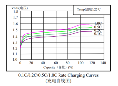 F NiMH Battery