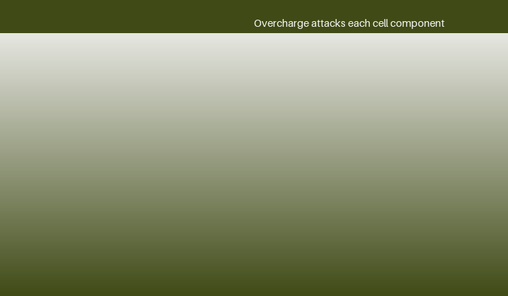 The positive electrode: gamma-NiOOH and swelling