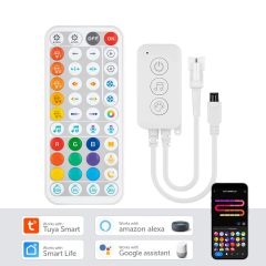 Tuya Wifi Music IR 44 keys SPl controller