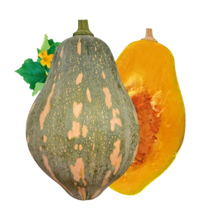 Taro-Flavored Pumpkin – Fresh whole vegetables for wholesale supply