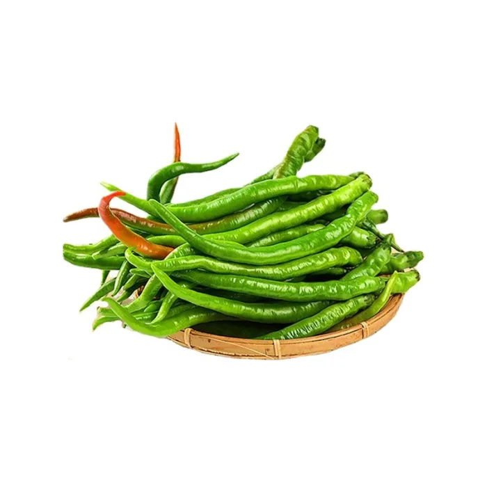 Erjingtiao Chili – Fresh whole vegetables for wholesale supply