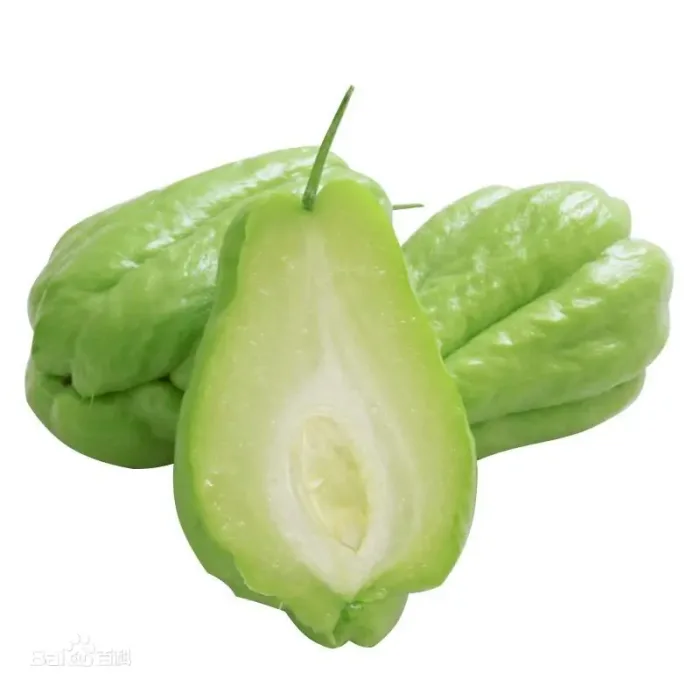 Chayote Squash – Fresh whole vegetables for wholesale supply