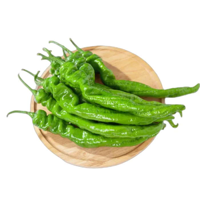 Long Pepper – Fresh whole vegetables for wholesale supply