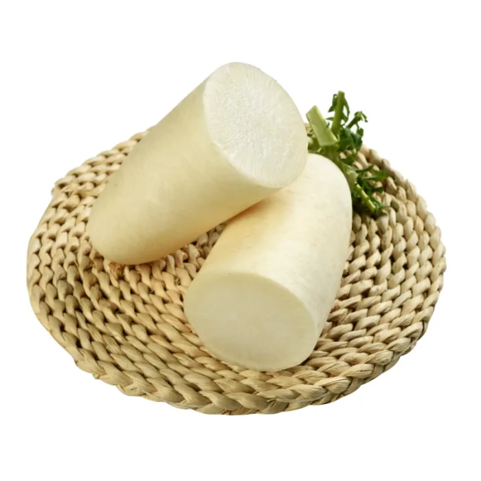 Daikon Radish – Fresh whole vegetables for wholesale supply