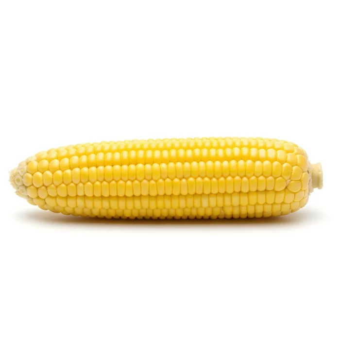 Sweet Corn – Fresh whole vegetables for wholesale supply