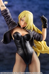 (In Stock) Kotobukiya-DC COMICS Bishoujo DC UNIVERSE Black Canary 2nd Edition 1/7 Complete Figure