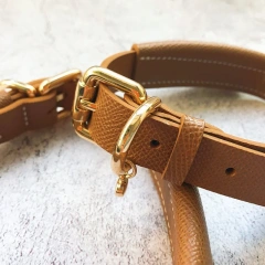 New Design Tie Shaped Personalized Dog Training Collar Faux Leather Dog Collar Pet Accessories Collar