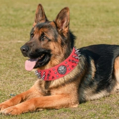 Beirui High Quality Long Rivet Spikes Custom Heavy Duty Bull Dog Lion Decoration Anti-Bite Leather Pet Dog Collar