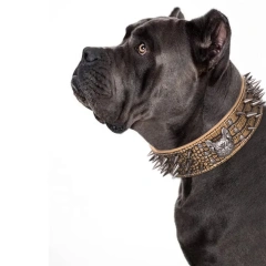 Beirui High Quality Long Rivet Spikes Custom Heavy Duty Bull Dog Lion Decoration Anti-Bite Leather Pet Dog Collar