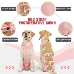 Bule/Pink Color New Design Pet Accessories Waterproof Pets Apron Adjustable Female Male Dog Vest new product ideas 2024 amazon