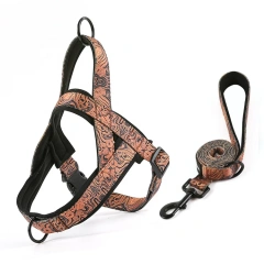 Dog Harness and Leash set Nylon Medium Large Dog Harnesses Leash Padded Pet Pitbull Vest Durable Adjustable