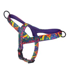 Dog Harness and Leash set Nylon Medium Large Dog Harnesses Leash Padded Pet Pitbull Vest Durable Adjustable
