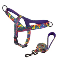 Dog Harness and Leash set Nylon Medium Large Dog Harnesses Leash Padded Pet Pitbull Vest Durable Adjustable