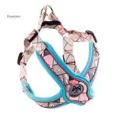 New Pets Dogs Accessories Luminous Adjustable Harness For Dogs Puppy Vest Collar Leash French Bulldog Medium Small Large Dog