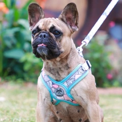 New Pets Dogs Accessories Luminous Adjustable Harness For Dogs Puppy Vest Collar Leash French Bulldog Medium Small Large Dog