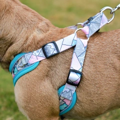 New Pets Dogs Accessories Luminous Adjustable Harness For Dogs Puppy Vest Collar Leash French Bulldog Medium Small Large Dog