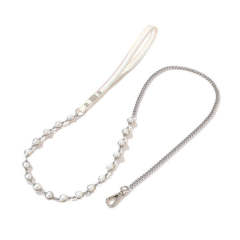 Pet supplies Amazon cross-border new dog leash small and medium dog chain dog chain wholesale lead rope