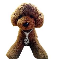 Rhinestone V-Tie Dog Necklace