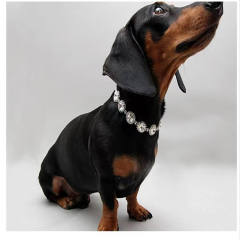 Rhinestone Pearl Necklace Jewelry Pet Collar