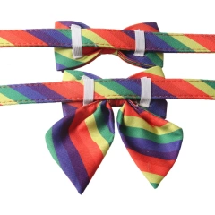 Wholesale Pet Dog Collar 2024 New Medium Small Luxury Rainbow Birthday Buckle Adjustable Bow Tie Pet Dog Collar