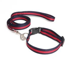 Adjustable Nylon Pet Collar with Matching Leash for Medium Large Dogs Basic Nylon Dog Collar