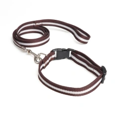 Adjustable Nylon Pet Collar with Matching Leash for Medium Large Dogs Basic Nylon Dog Collar