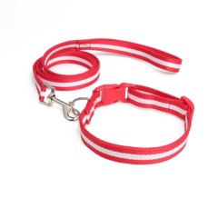 Adjustable Nylon Pet Collar with Matching Leash for Medium Large Dogs Basic Nylon Dog Collar