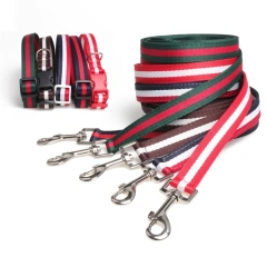 Adjustable Nylon Pet Collar with Matching Leash for Medium Large Dogs Basic Nylon Dog Collar