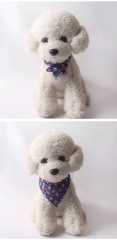 New product with bell pet collar national flag cat and dog collar