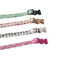 Amigo New Pet products design Two layers of double sided bandana dog collar color buckle