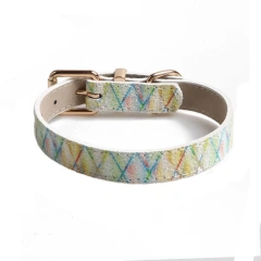 High Quality Color Matching New Design Dog Collar Dog Accessories