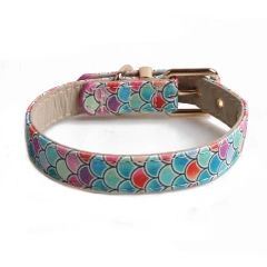 High Quality Color Matching New Design Dog Collar Dog Accessories