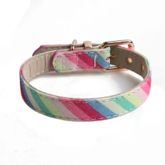 High Quality Color Matching New Design Dog Collar Dog Accessories