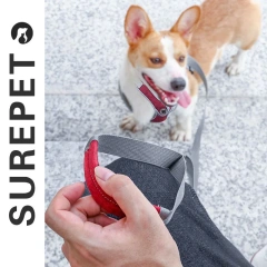 Dog Harness Leash Set Adjustable Pet Harness Vest For Small Large Dog Cat Reflective Mesh Puppy Cat Chest Strap Dog Accessories