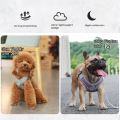 Dog Harness Leash Set Adjustable Pet Harness Vest For Small Large Dog Cat Reflective Mesh Puppy Cat Chest Strap Dog Accessories