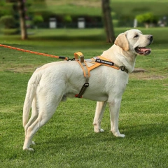 Personalized dog name dog harness no tension reflective breathable Labrador dog harness large dog outdoor walking training