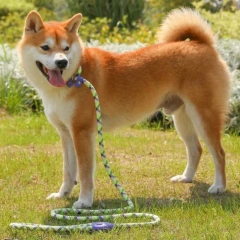 Dog Leash P Rope Dogs Chain Adjustable Dogs Leash P Chain Harness Dog Walking Puppy Training Leashes Traction Rope Pet Supplies