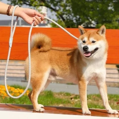 Dog Leash P Rope Dogs Chain Adjustable Dogs Leash P Chain Harness Dog Walking Puppy Training Leashes Traction Rope Pet Supplies