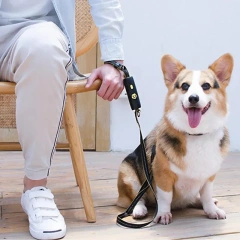 Durable Dog Leash Automatic Retractable Nylon Cat Lead Extension Puppy Walking Running Lead Roulette For Dogs Pet Products