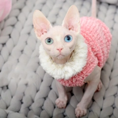 Devon Rex Thickening Plush Coat Cat Sweater Costume Sphynix Clothes Katten Sphynx Pullover Clothing Products for Winter Outwear