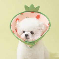 After Surgery Neck Collar Anti Lick Summer Breathable Headgear Cotton Mesh Cool Elizabeth Circle Neck Accessories for Small Dogs