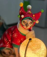 Handmade Christmas Sphynx Cat hat Warm Snow Suit for Hairless Cat Winter Coat Fleece Jacket for Devon Rex Pet Supplier