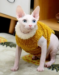 Devon Rex Thickening Plush Coat Cat Sweater Costume Sphynix Clothes Katten Sphynx Pullover Clothing Products for Winter Outwear