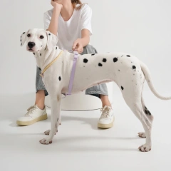 Summer Dog Harness For Medium Large Dog Cooling Breathable Vest Harness NO Pull Comfortable Outdoor Walking Fashion Pet Supplies