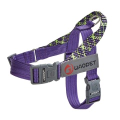 Fashion Style Dog Vest Harnesses For small medium and large dogs durable Nylon Manufacturers pet harness 2024 New