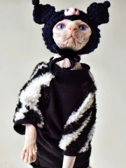 DUOMASUMI Damon Kitty Outfits Sphynx Cat Clothes Velvet Sweater Winter Warmth Hairless Cat Clothes Devon Cornish Cat Clothing