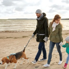 Hand Free Dog Leash for Pet Walking Running Jogging Adjustable Dog leash Waist Belt Chest Strap Traction Rope Dog Accessories